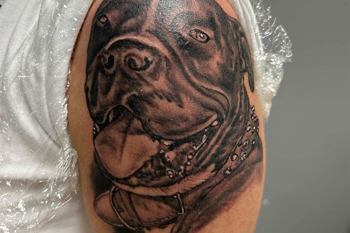 Dog portrait tattoo by Ward Lennon