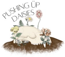 Pushing Up Daisies