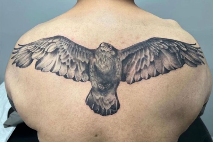 Hawk tattoo