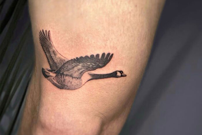 Tattoo of flying goose