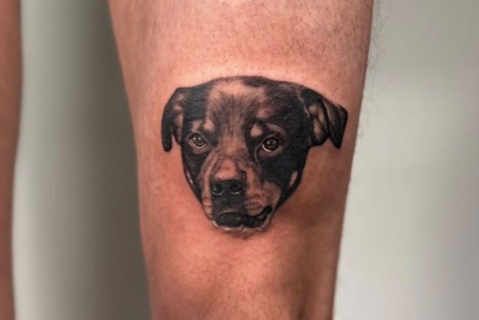 Puppy portrait tattoo by Keara Hamilton