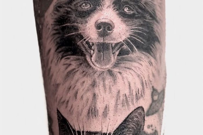 Dog and cat portrait tattoo by Laith Hakeem