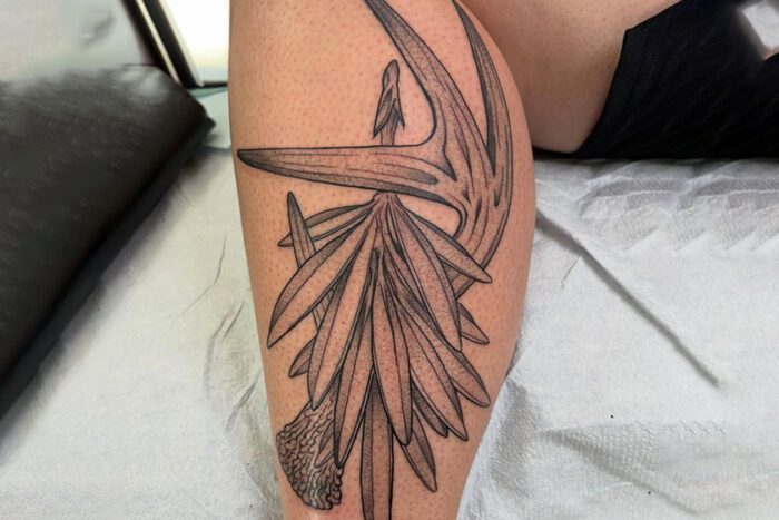 Tattoo by Sheldon Withawck